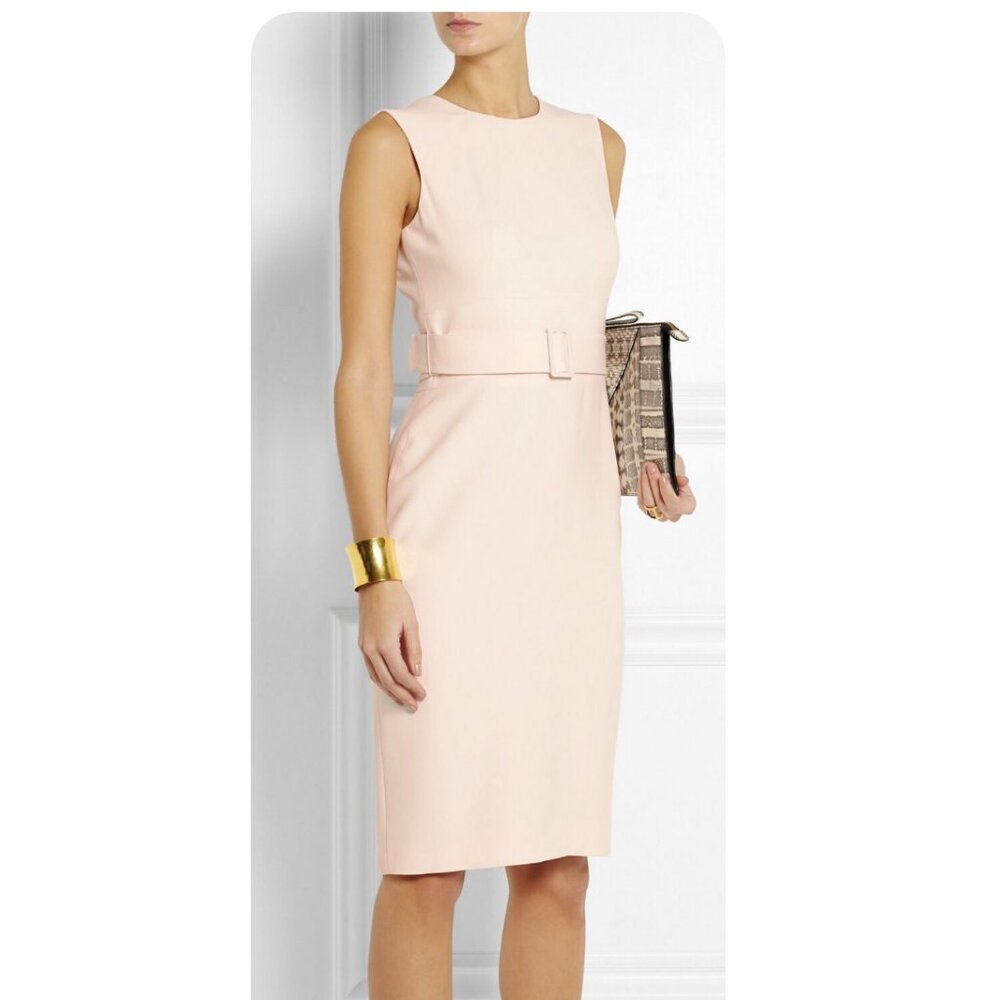 🌸 Alexander McQueen Blush Pink Belted Sheath Dress 🌸 Sz 46 | US 10